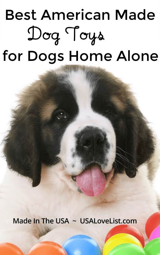 Best Toys for Pets Home Alone