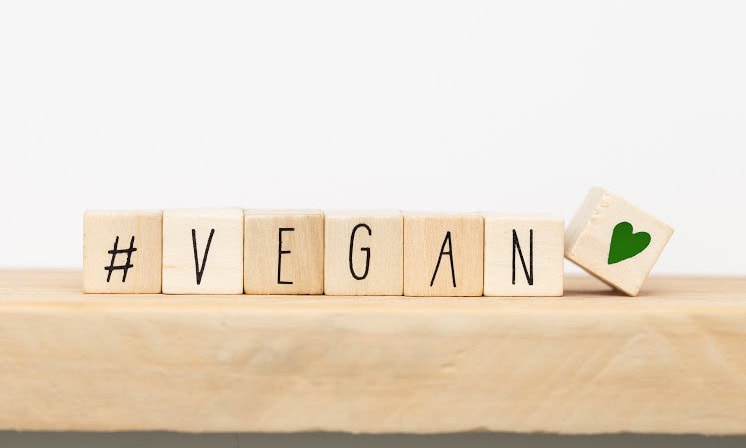 Best Vegan Products All American Made: The Ultimate Source List