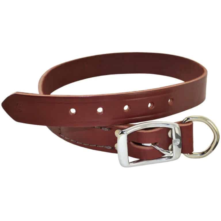 Dog Collars Made in the USA • USA Love List