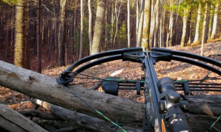 Best Crossbows Made in the USA