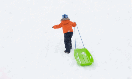 Enjoy Winter Outdoors With Made in USA Sleds